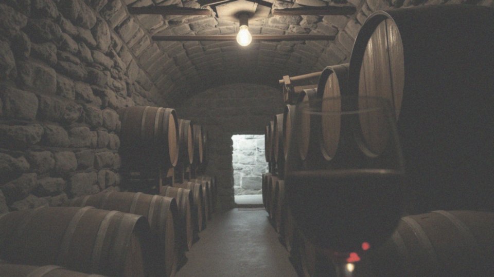 Co musisz wiedzieć o odmianach Aglianico i Baga?