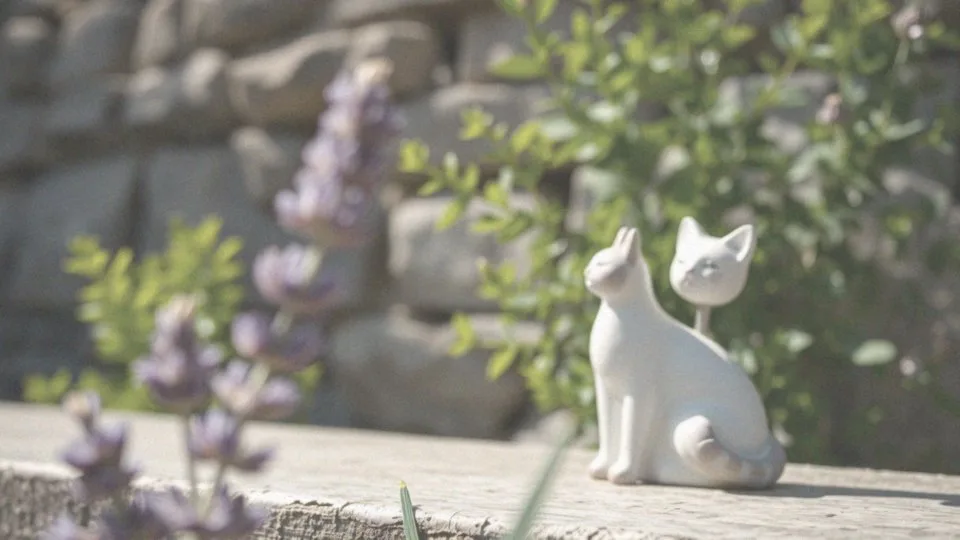 Czy koty lubią zapach lawendy? Zrozumienie preferencji zapachowych