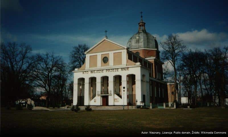 Kościół Wniebowzięcia Najświętszej Maryi Panny w Skierniewicach