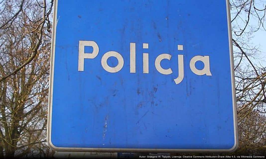 Policja apeluje o ostrożność w Dzień Wszystkich Świętych