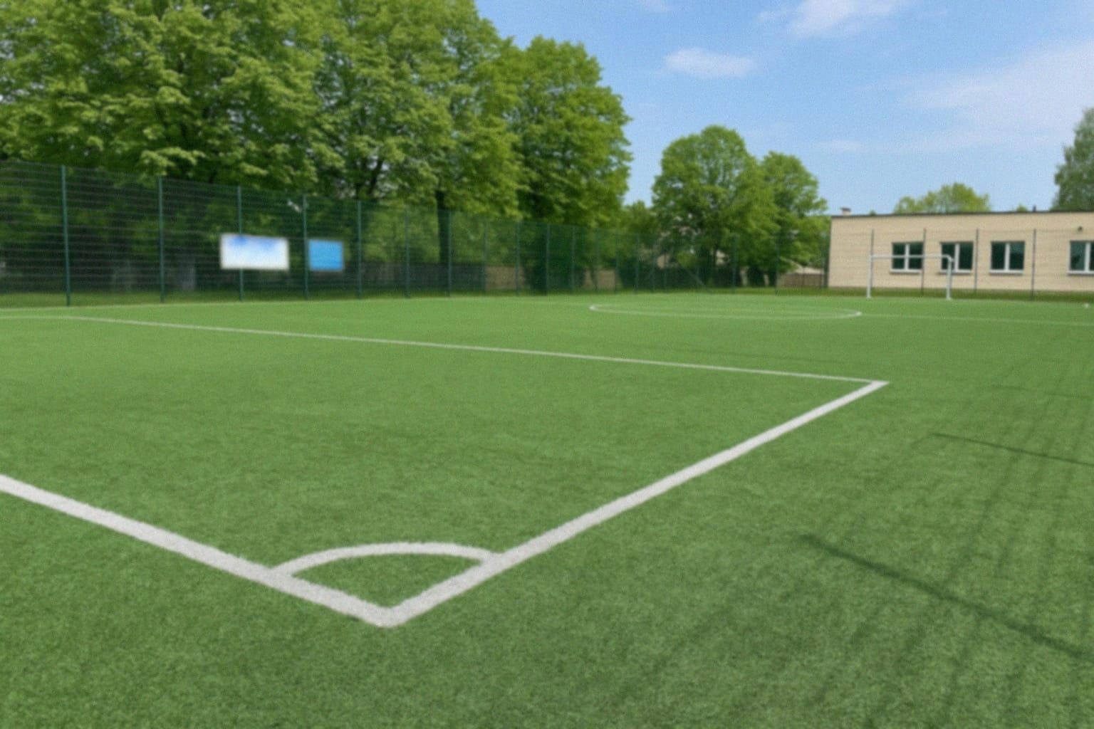Power Joga w Parku w Skierniewicach – Nowe Zajęcia dla Miłośników Ruchu