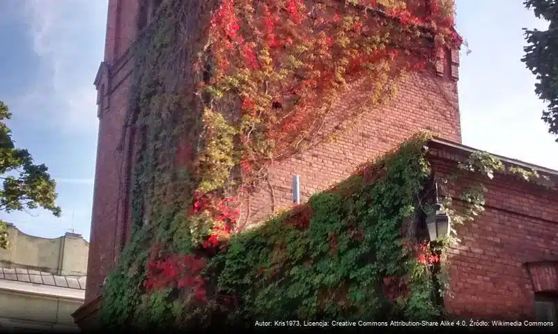 Wieża ciśnień przy ul. Konstytucji 3 Maja w Skierniewicach